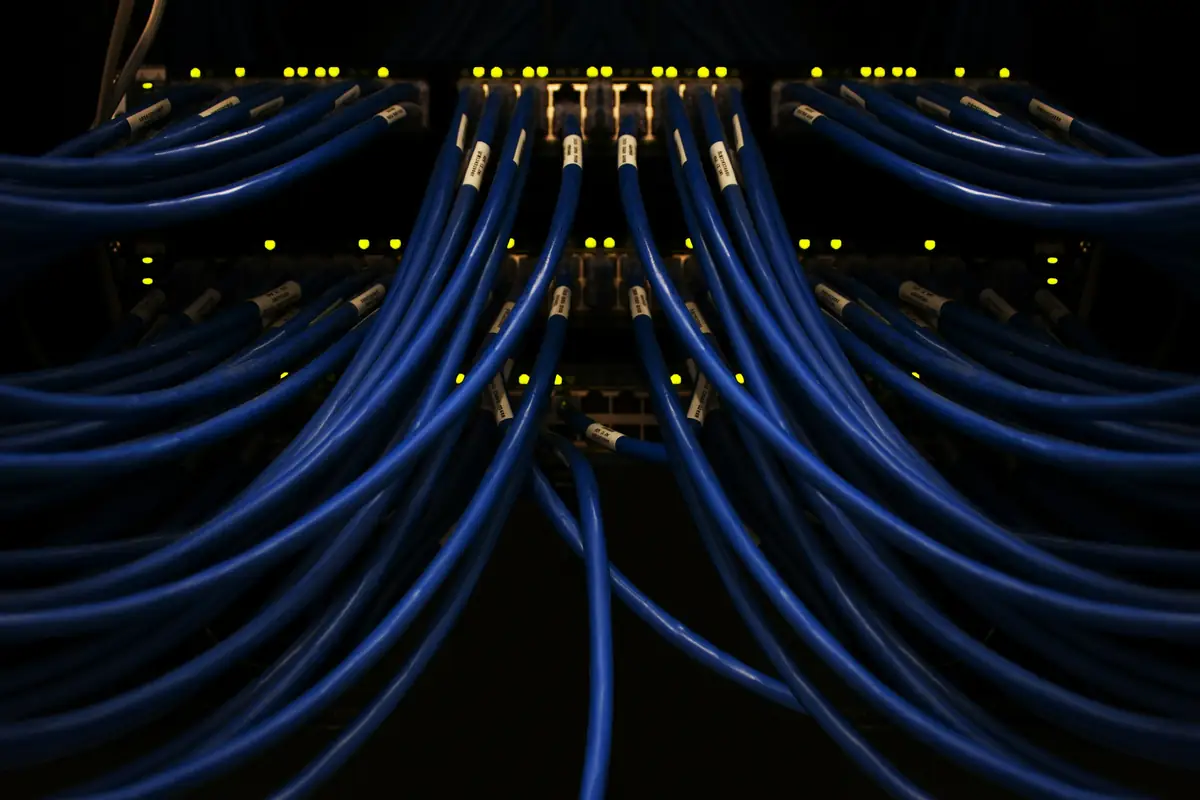 Blauwe netwerkkabels aangesloten op netwerkapparatuur, met groene statuslampjes